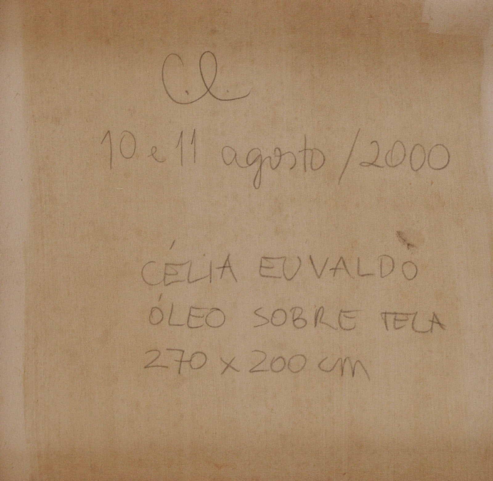 Sem Título, 2000 - foto 4 de 5