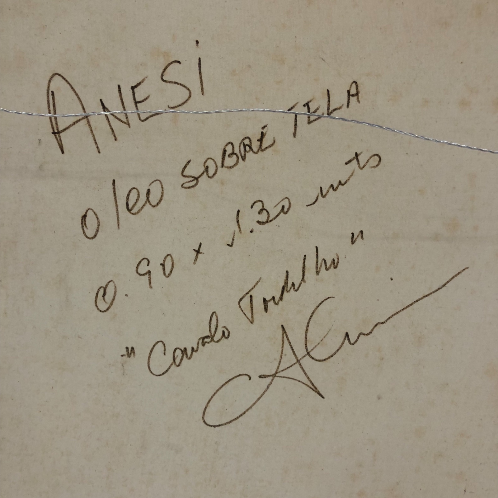 Carlos Anesi (1945-2010), Cavalo Tordilho - foto 4 de 4