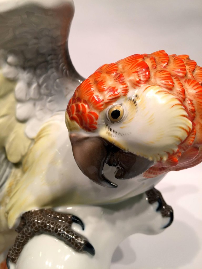 Escultura em porcelana alemã representando papagaio brasileiro nas... - foto 3 de 5