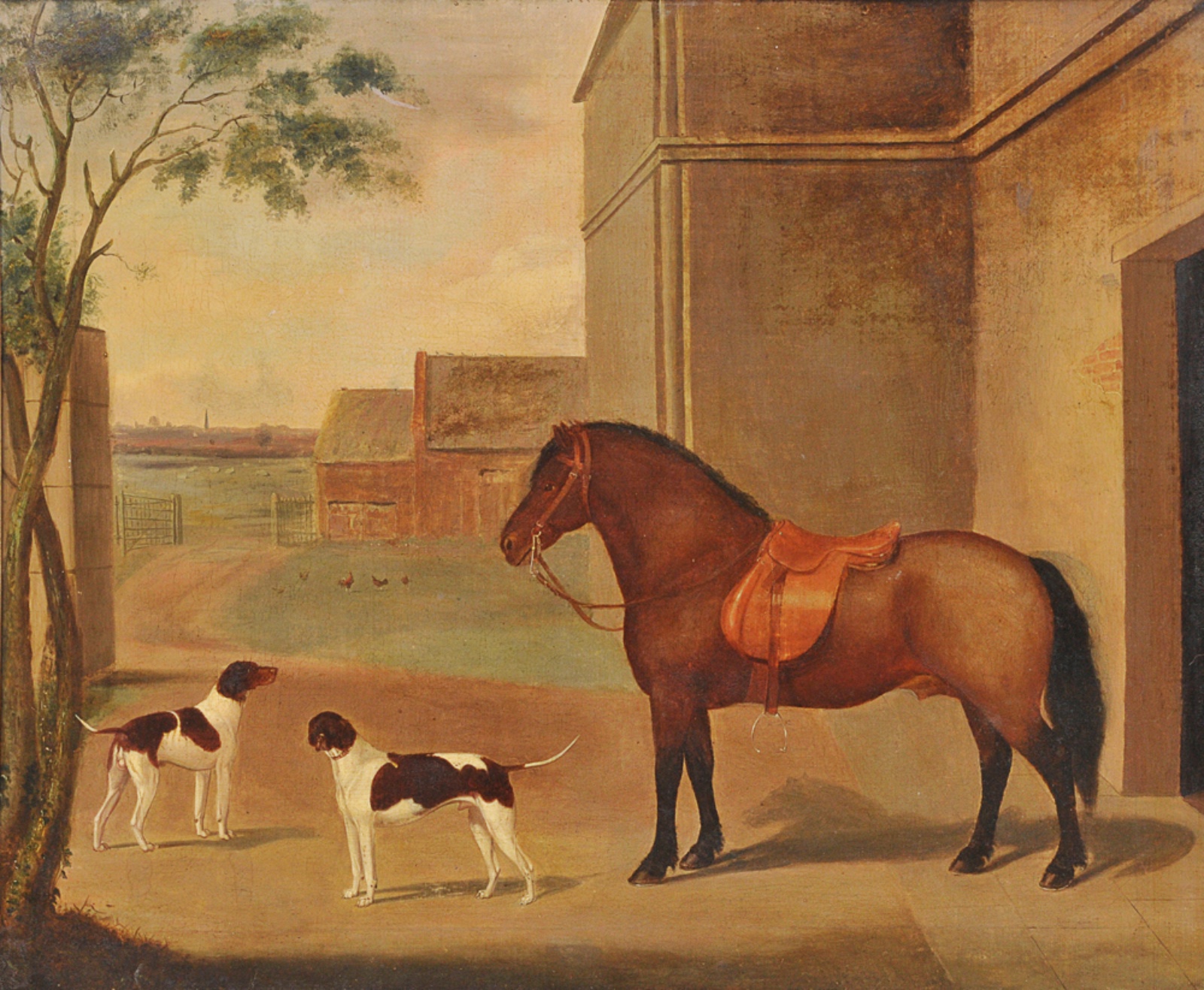 Cavalos e cachorros - foto 1 de 4