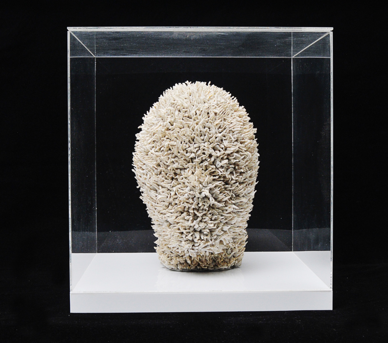 Felipe Barbosa (1978), Cabeça quente, 2000 - foto 4 de 9