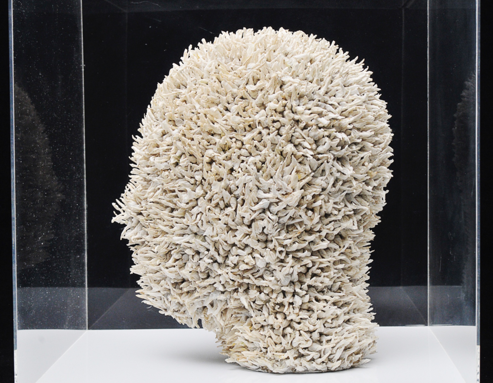 Felipe Barbosa (1978), Cabeça quente, 2000 - foto 2 de 9