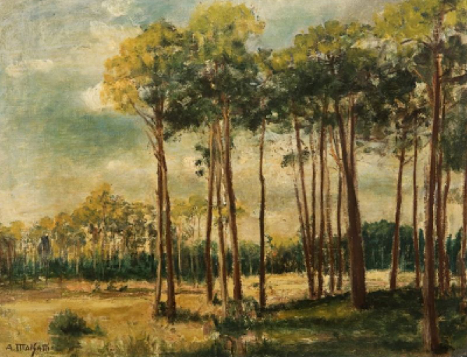 Anita Malfatti (1889-1964), Arvoredo - foto 1 de 5