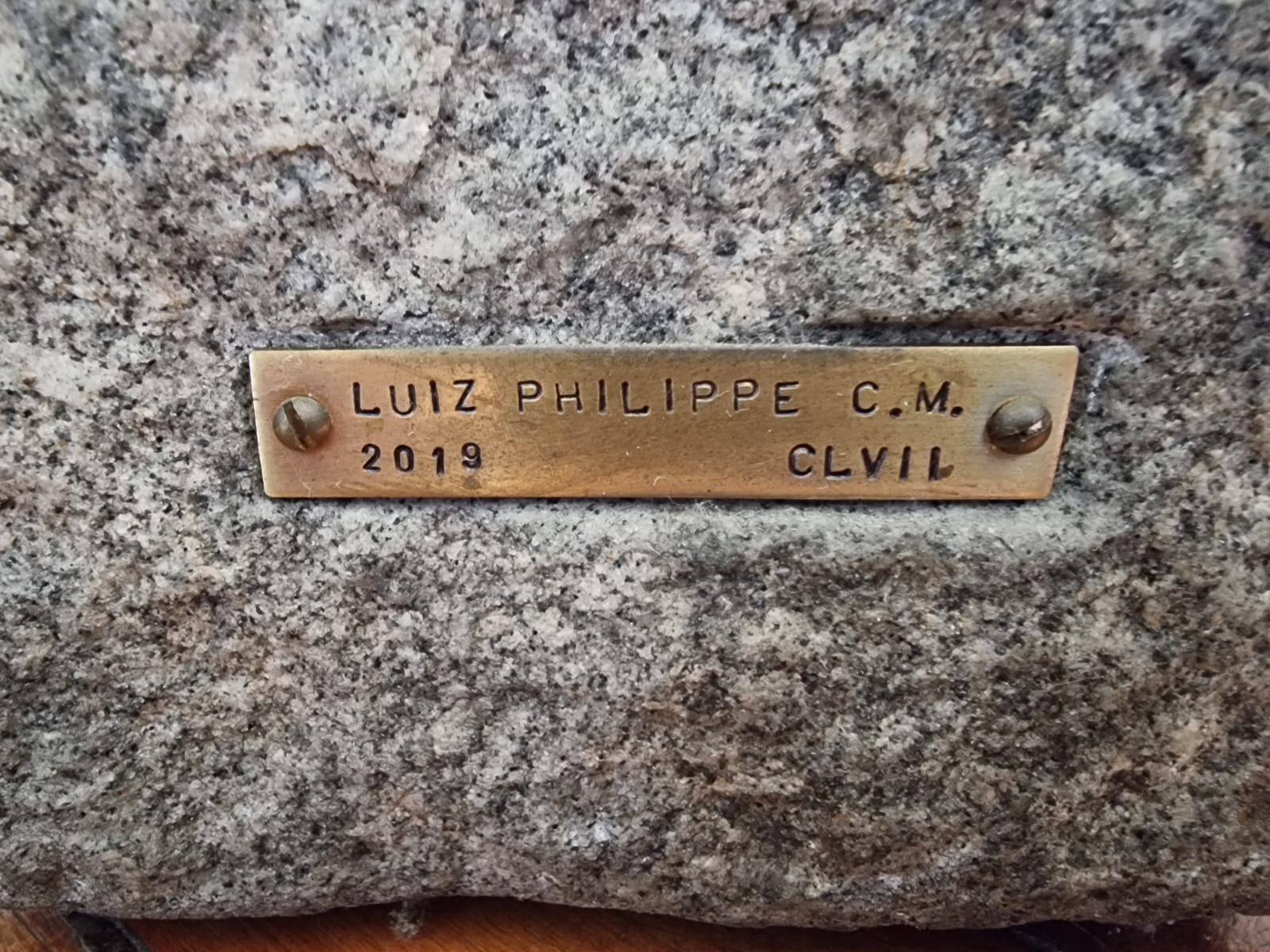 Luiz Philippe Carneiro de Mendonça (1957), Mala de Viagem, 2019 - foto 2 de 2