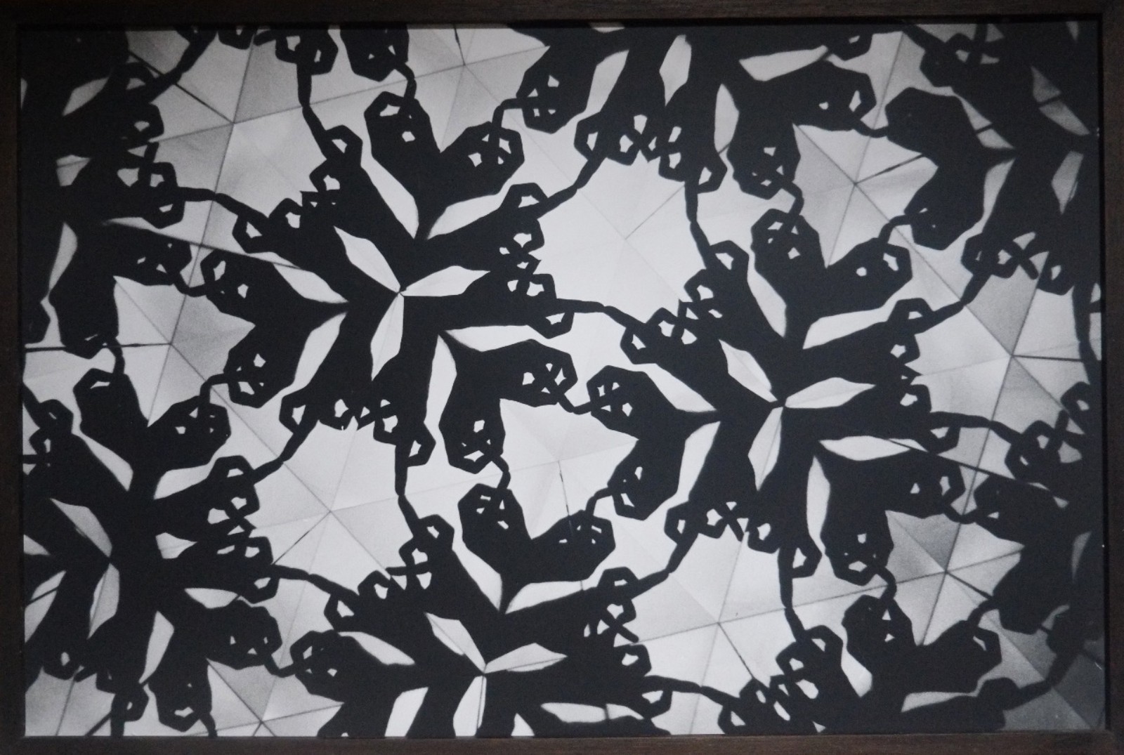 Vitral, 2009