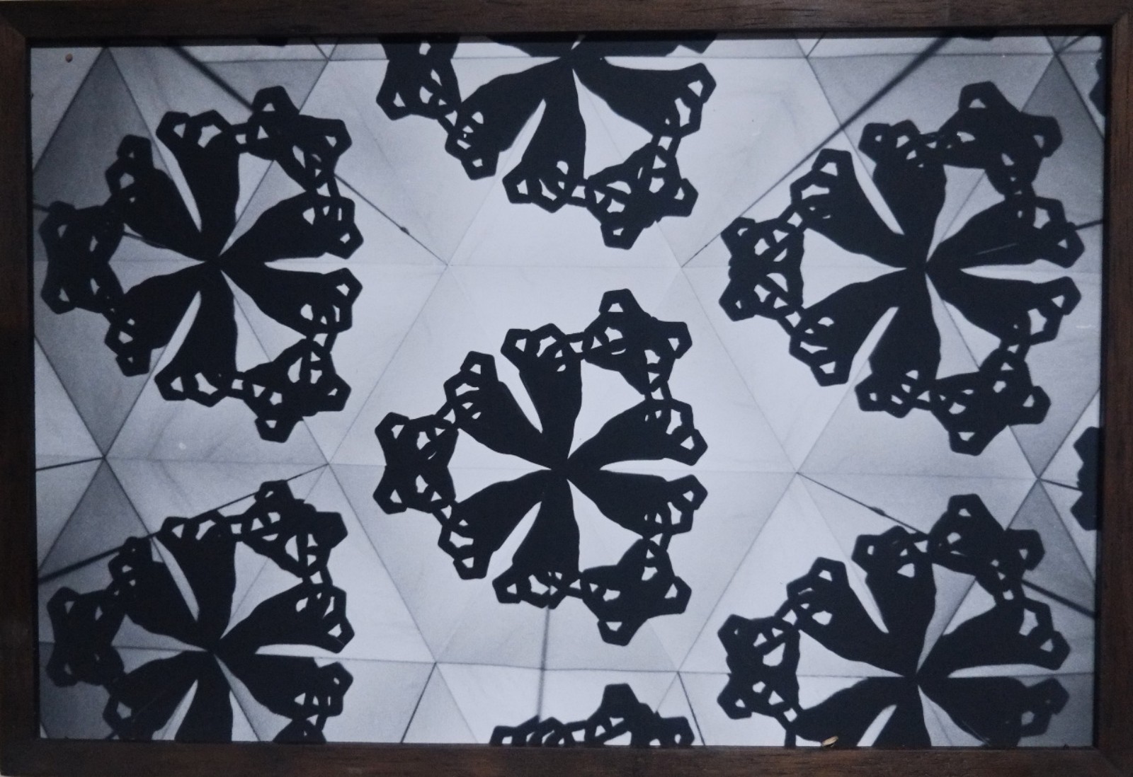 Vitral, 2009
