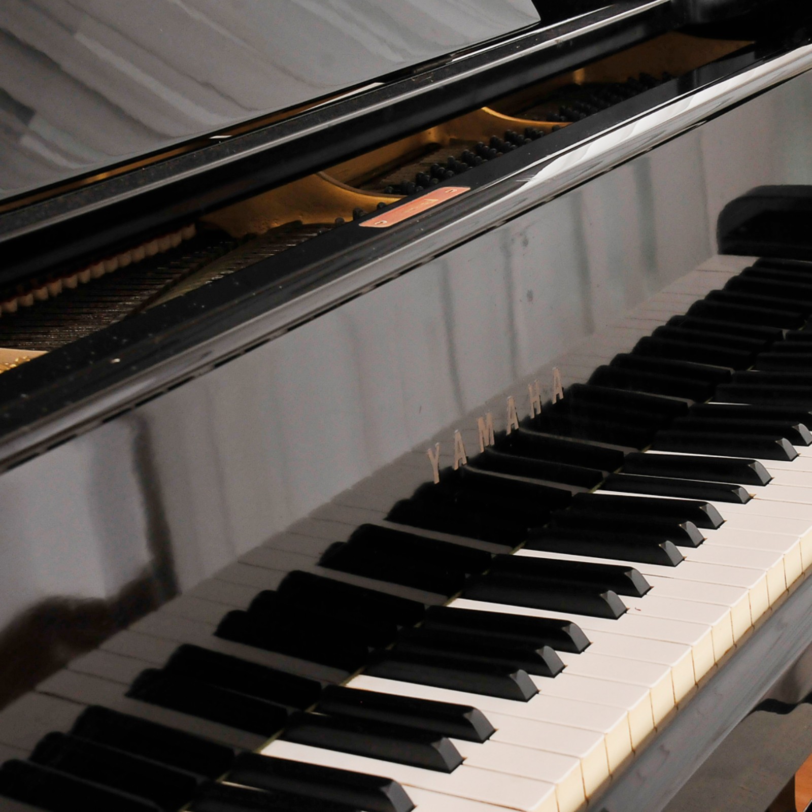 Grande piano de cauda manufatura Yamaha modelo NIPPON GAKKI séries... - foto 6 de 10