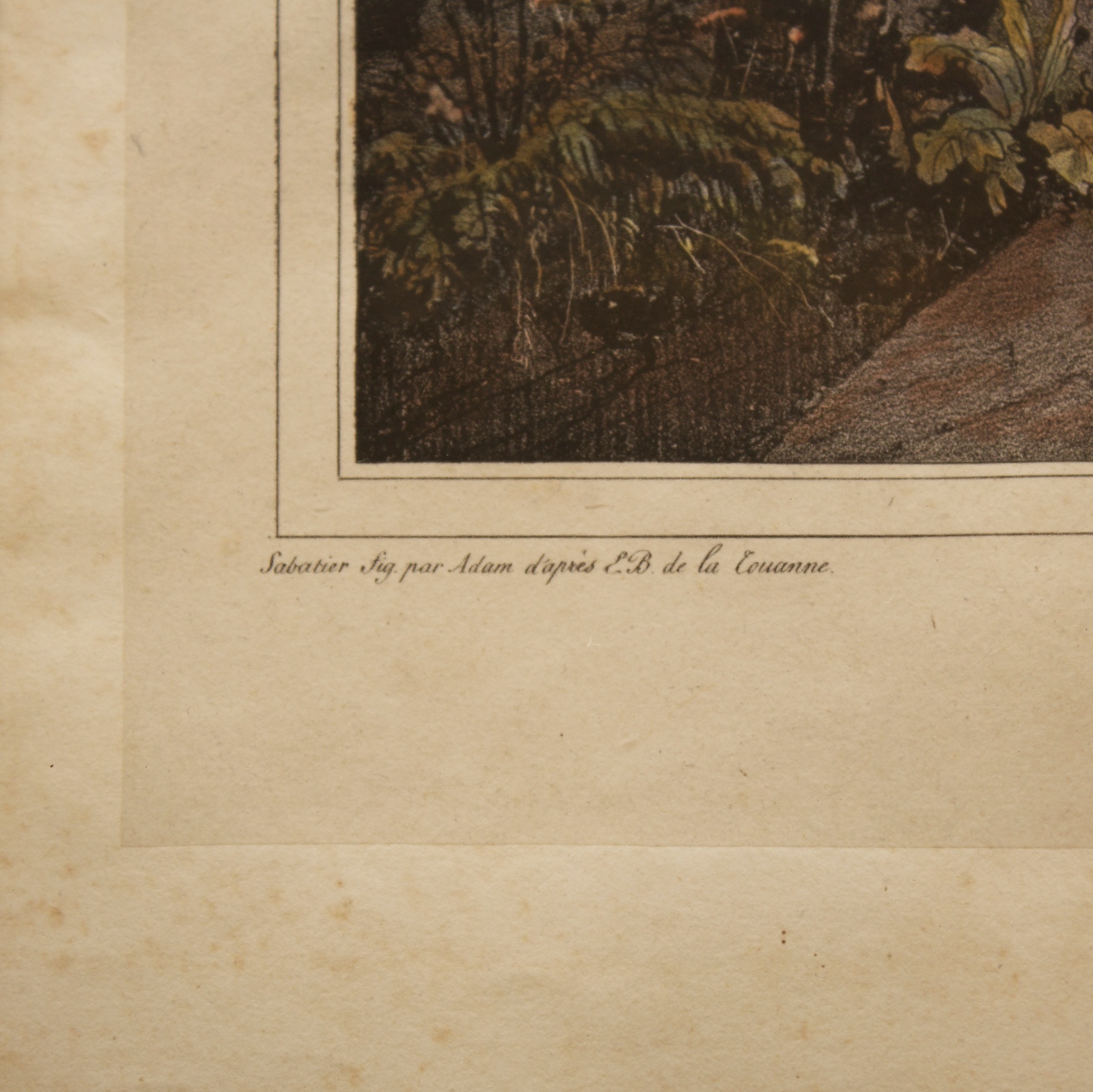 Cascata da grande Tijuca perto do Rio de Janeiro, 1837 - foto 3 de 3