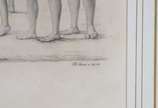 MARTIUS, Carl Friedrich Phillippe von; SPIX, Jo... - Gravura<br>Publish Menschen (Alemanha), Gedruckt bei M. Lindauer, Spin, Johan Baptist Von (1781- 1826).<br>Atlas zur Reise in Brasilien. <br>Pág...
