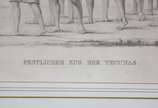 MARTIUS, Carl Friedrich Phillippe von; SPIX, Jo... - Gravura<br>Publish Menschen (Alemanha), Gedruckt bei M. Lindauer, Spin, Johan Baptist Von (1781- 1826).<br>Atlas zur Reise in Brasilien. <br>Pág...