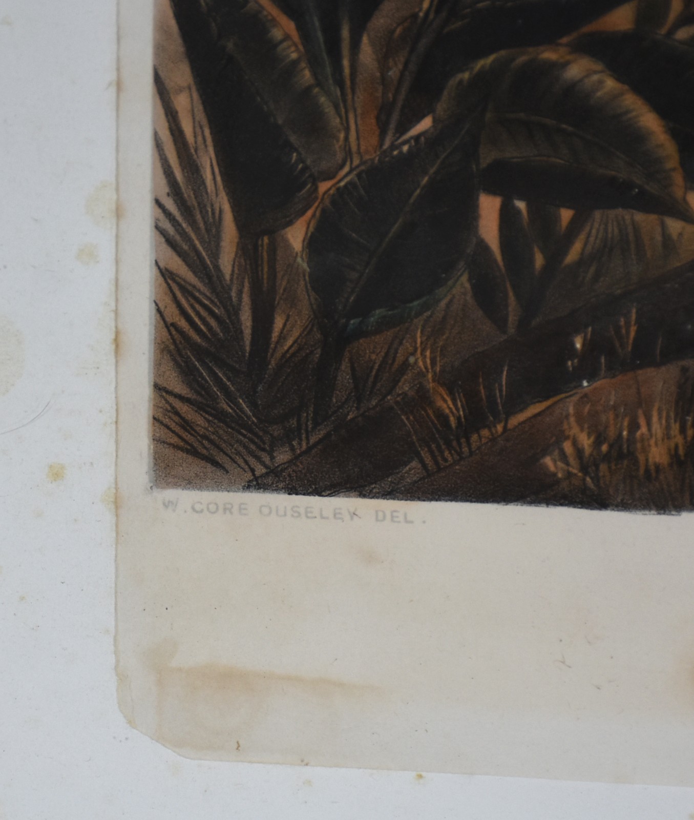 A Cascata de Itamaraty " The Waterfall of Itamaraty ", Séc.XIX - foto 4 de 8