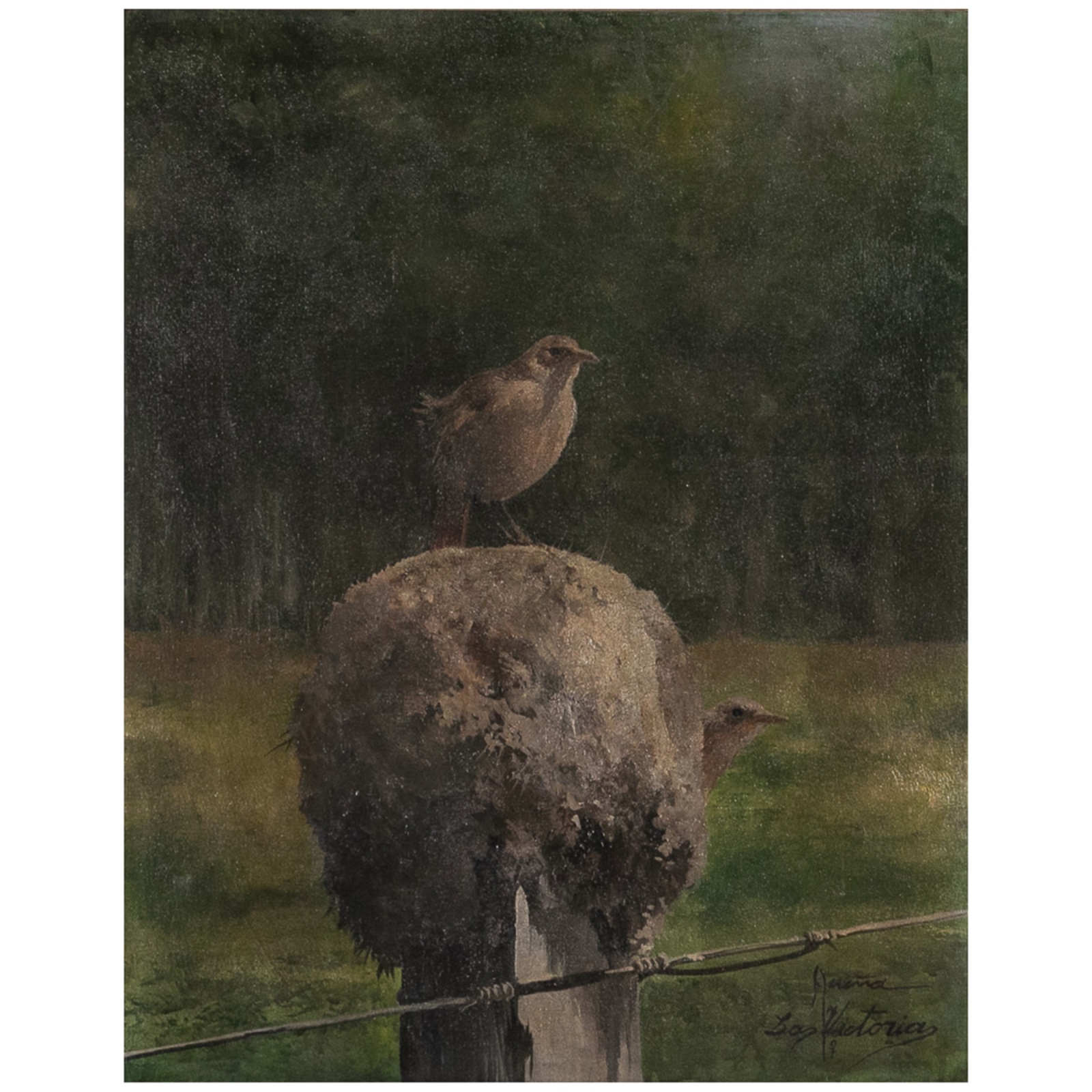 Pintura representando aves - foto 1 de 3