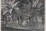 Maximilian Von Wied- Neuwied ( 1782 - 1867), Da... - Litografia<br><br>Obra reproduzida no álbum "Brasiliana Itaú - Uma Grande coleção dedicada ao Brasil". <br>é uma representação da Dança dos Cama...