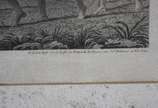 Maximilian Von Wied- Neuwied ( 1782 - 1867), Da... - Litografia<br><br>Obra reproduzida no álbum "Brasiliana Itaú - Uma Grande coleção dedicada ao Brasil". <br>é uma representação da Dança dos Cama...