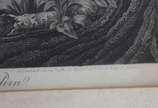 Maximilian Von Wied- Neuwied ( 1782 - 1867), Os... - LITOGRAFIA<br><br>Obra reproduzida no álbum "Brasiliana Itaú - Uma Grande coleção dedicada ao Brasil". <br>É uma representação dos Puris na Flor...