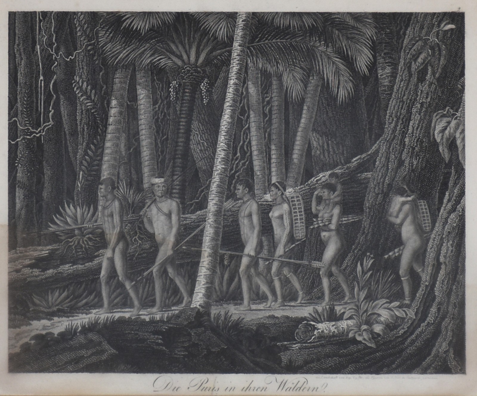 Os Puris na Floresta  (Die Puris in ihren Wåldern ), séc. XIX - foto 1 de 5