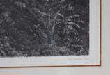 VICTOR FROND (1821-1881), Panorama de Petropolis - Gravura <br>Ass. inf. esquerdo<br><br>Jean-Victor Frond , fotógrafo, de nacionalidade francesa, possui estúdio no Rio de Janeiro (RJ) entre 1858 e...