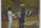 VICTOR FROND (1821-1881), Marchand de Volailles... - Litografia colorida <br>Ass. inf. esquerdo<br>Impressão de Lemercier, Paris.<br><br>Jean-Victor Frond , fotógrafo, de nacionalidade francesa, po...