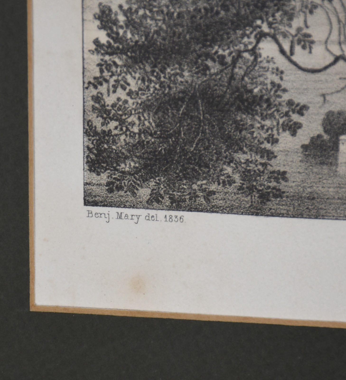Prospectus in Sinum Sebastianopolitanum, ex Insula Viana. 1836 - foto 4 de 6