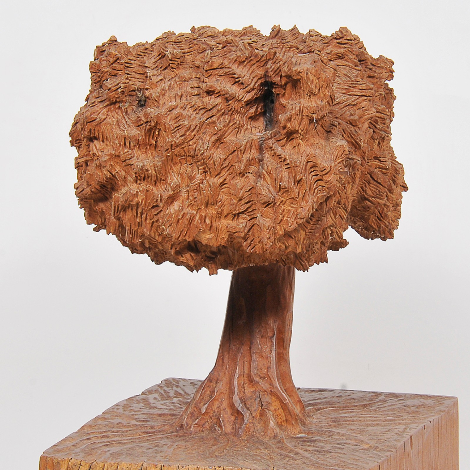 José Bento (1962), Árvore - foto 2 de 4