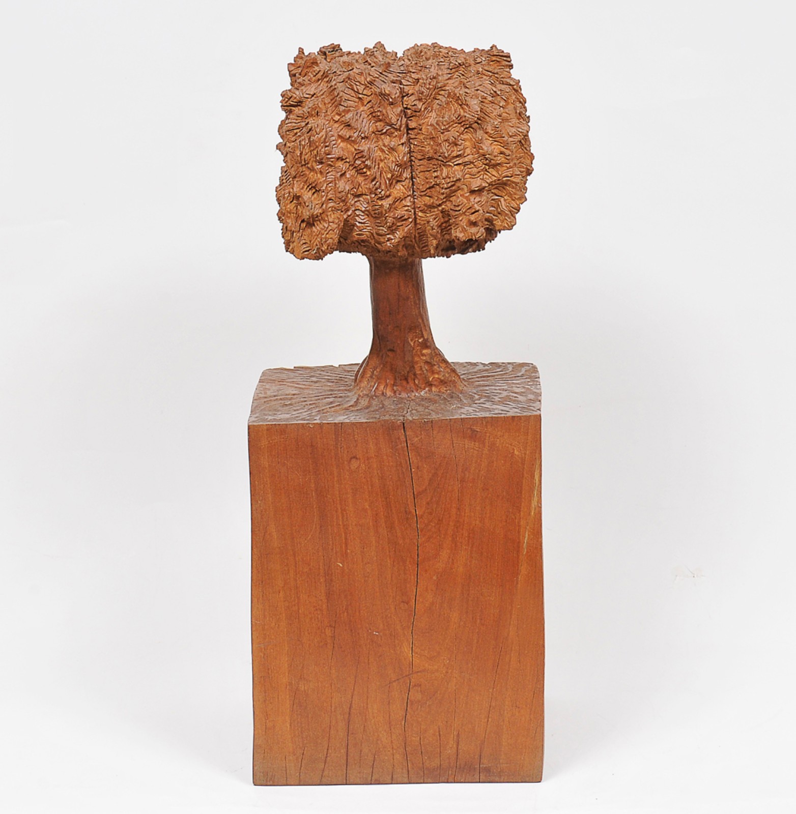 José Bento (1962), Árvore - foto 1 de 4