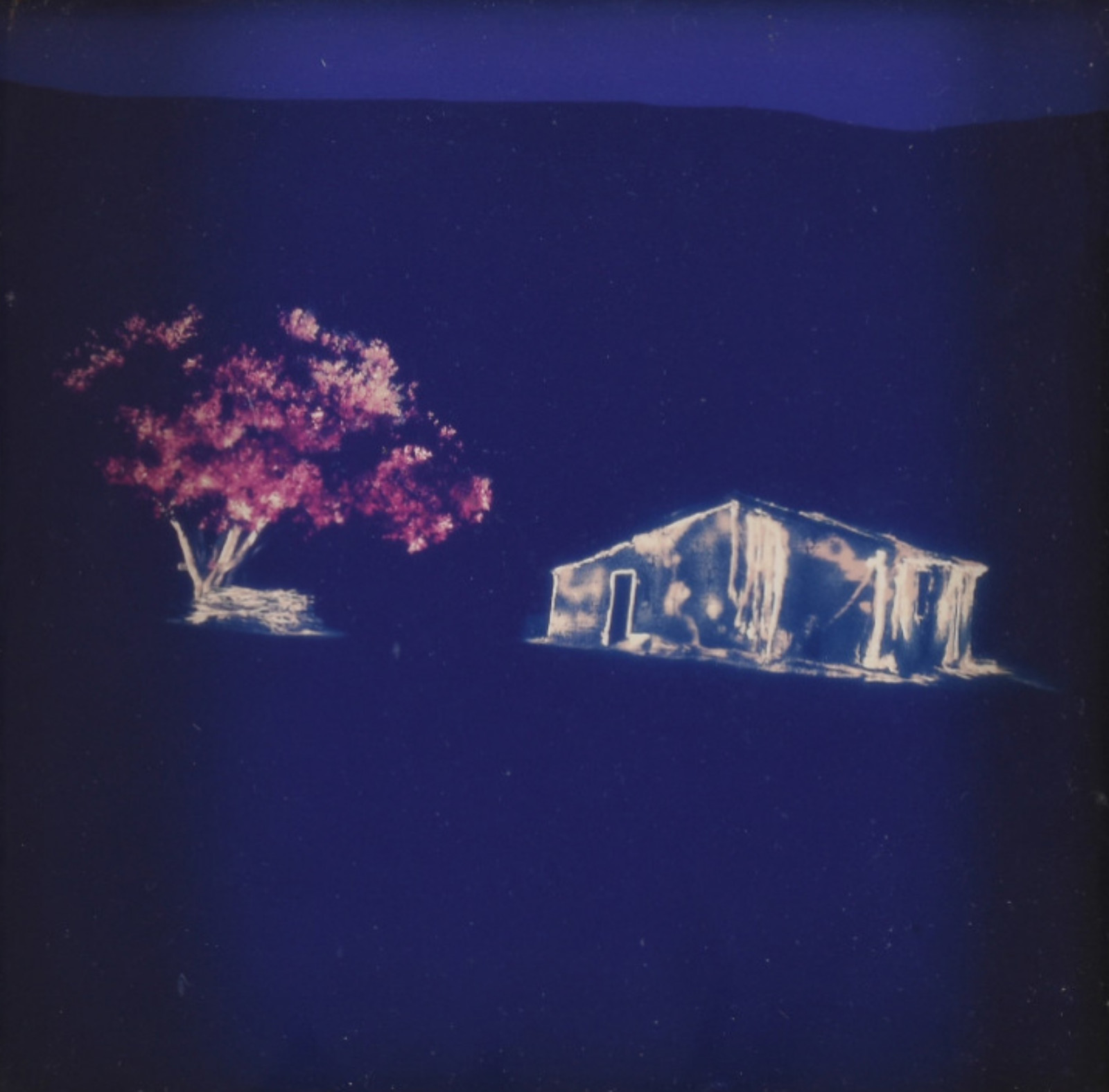 Renan Cepeda (1966), Casa e cajueiro -  série Pichações, 2004 - foto 1 de 3
