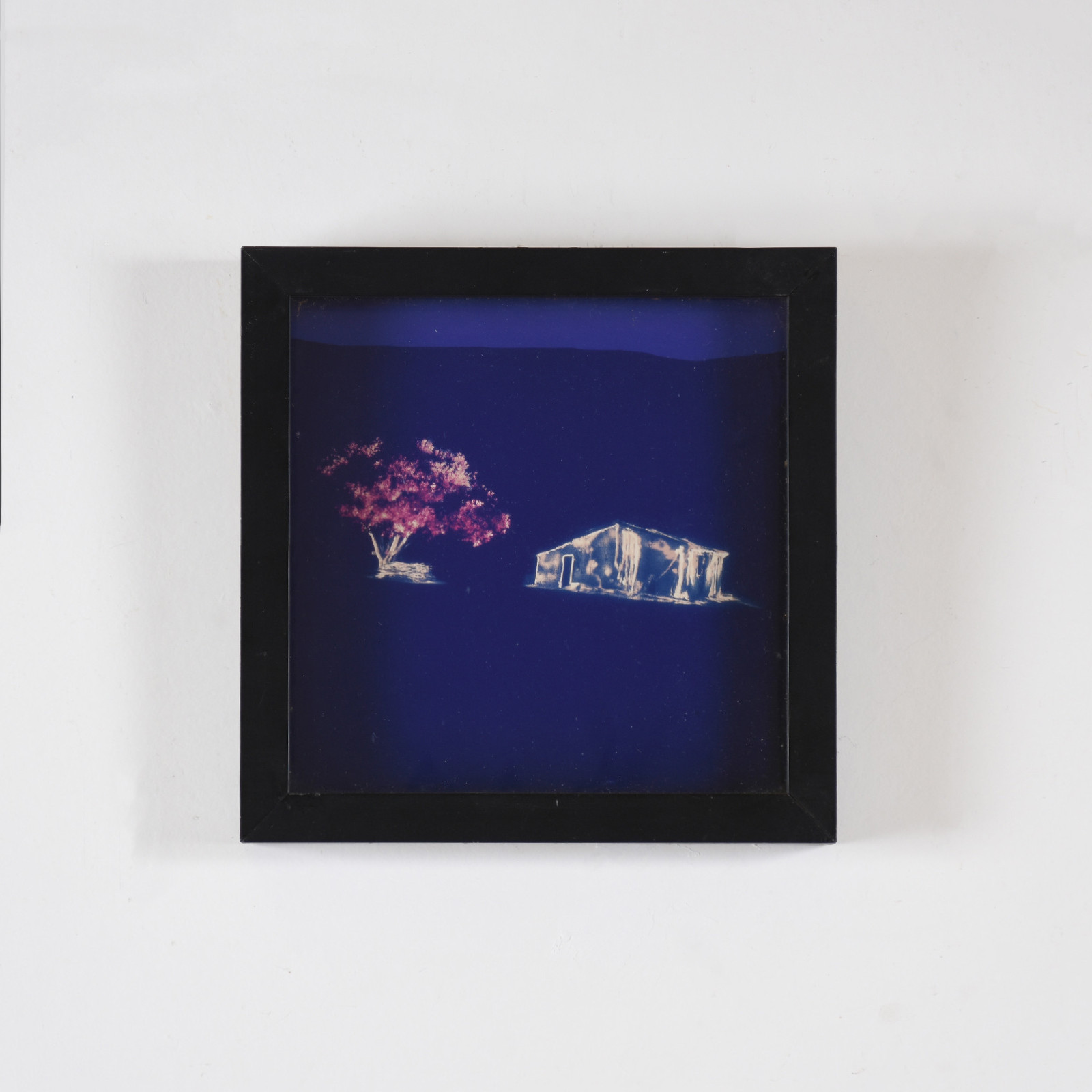 Renan Cepeda (1966), Casa e cajueiro -  série Pichações, 2004 - foto 2 de 3