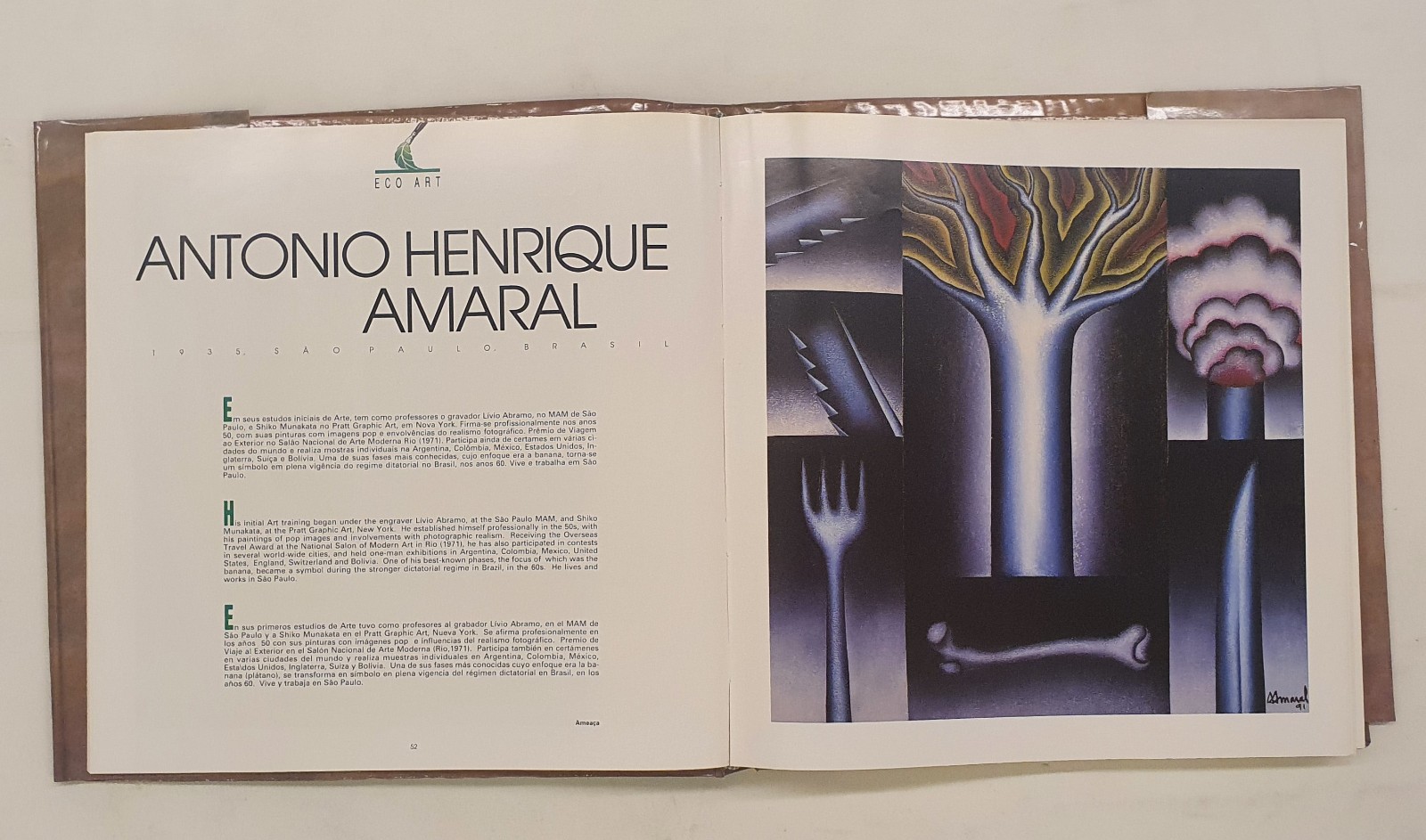 Antônio Henrique Amaral (1935-2015), Ameaça, 1992 - foto 7 de 8
