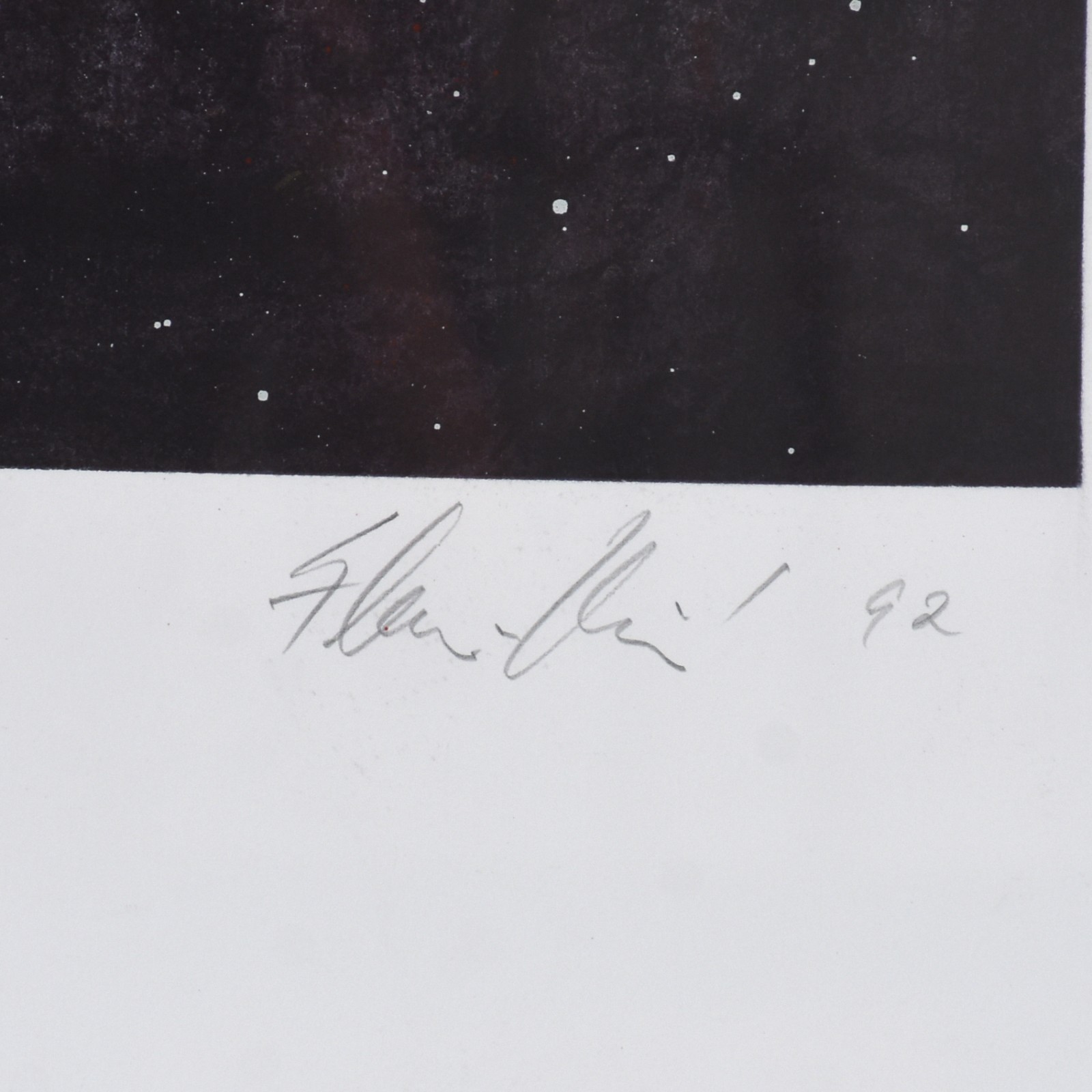 Flávio Shiró Tanaka  (1928), O canto da terra, 1992 - foto 4 de 8