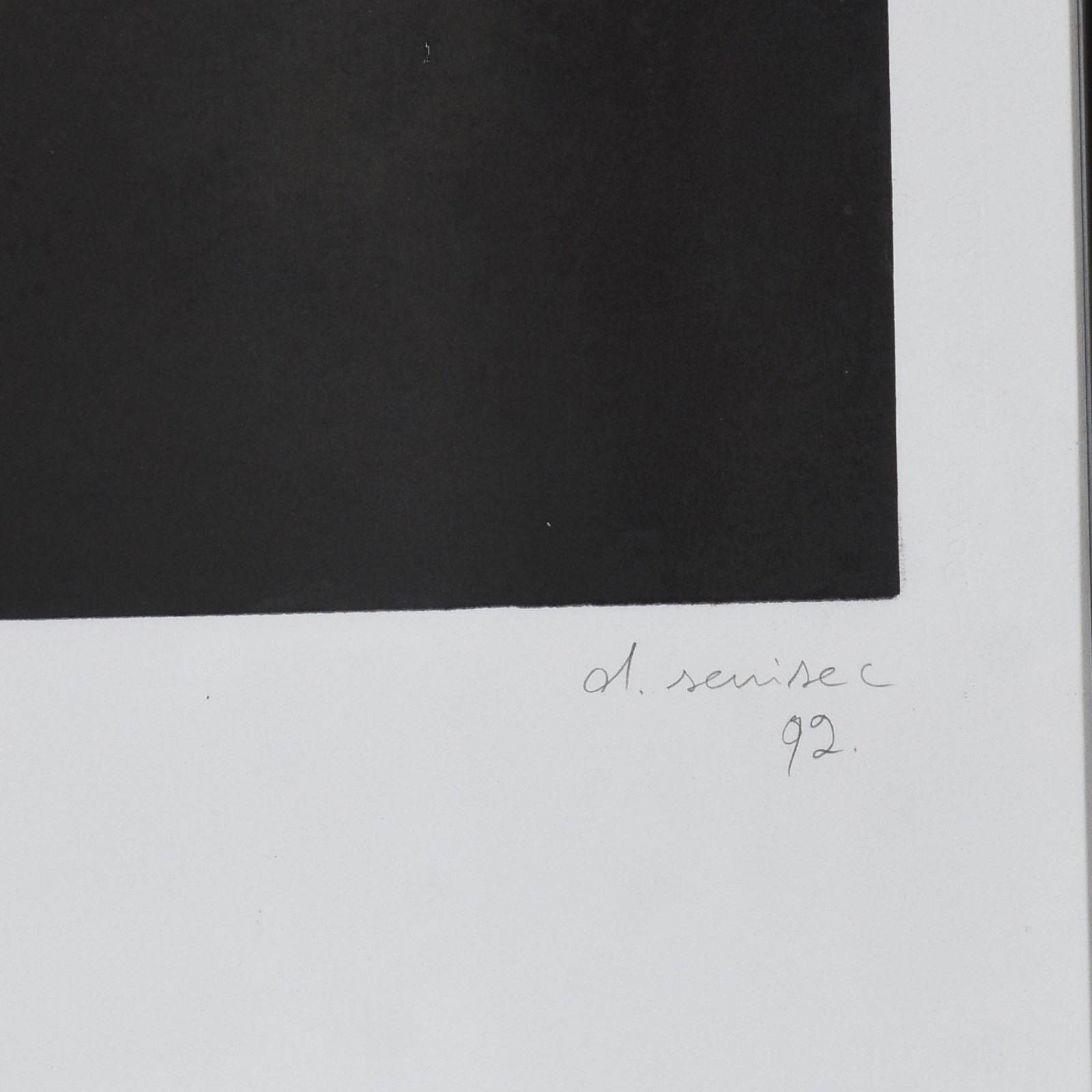 Daniel Senise (1955), Fogo Fátuo, 1993 - foto 5 de 7