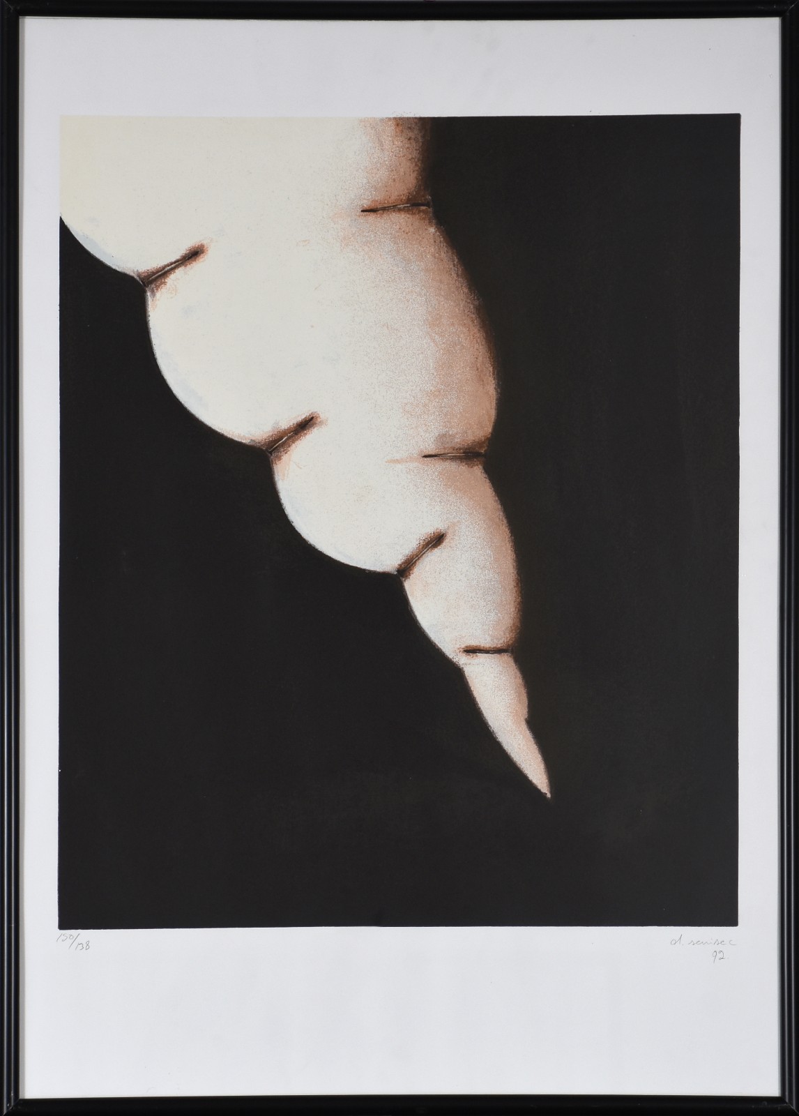 Daniel Senise (1955), Fogo Fátuo, 1993 - foto 2 de 7