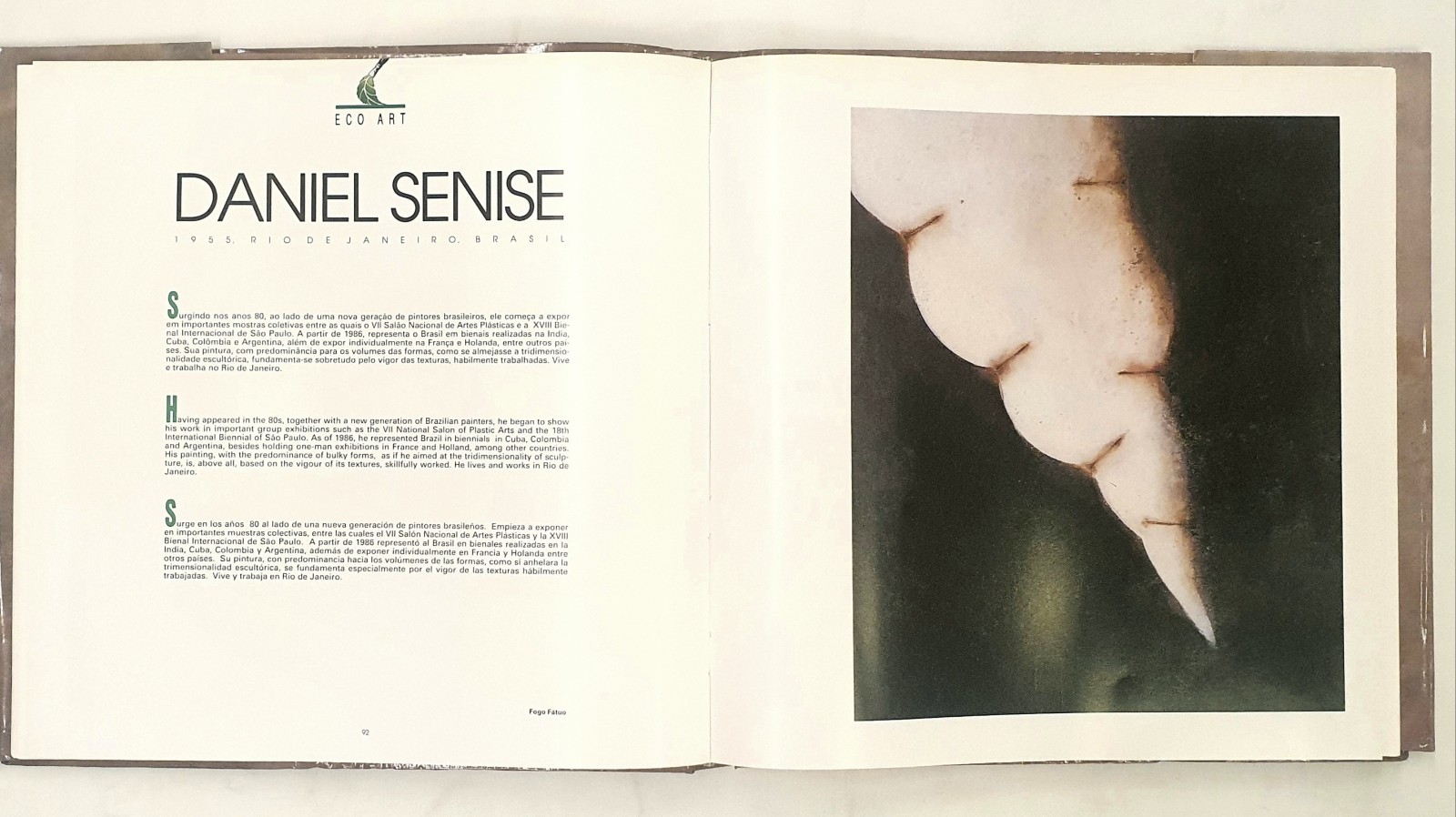 Daniel Senise (1955), Fogo Fátuo, 1993 - foto 7 de 7
