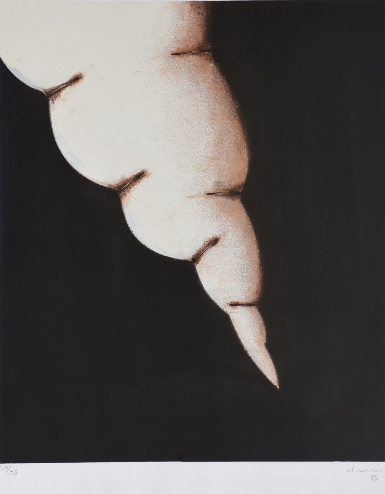 Daniel Senise (1955), Fogo Fátuo, 1993 - foto 1 de 7