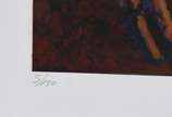 Victor Hugo Irazabal (1945), Amazona la Borde, ... - Serigrafia<br>Ass. Inf. direito<br>Edição 5 de 150<br><br><br>O lote encontra-se em nosso espaço para apreciação através de prévio agendamento.