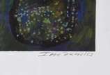 Victor Hugo Irazabal (1945), Amazona la Borde, ... - Serigrafia<br>Ass. Inf. direito<br>Edição 5 de 150<br><br><br>O lote encontra-se em nosso espaço para apreciação através de prévio agendamento.