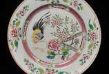 Cia das Índias (1481),  - Conjunto de 4 pratos para sobremesa em  porcelana Cia das índias na cor branca com decoração floral e aves em esmalte. 