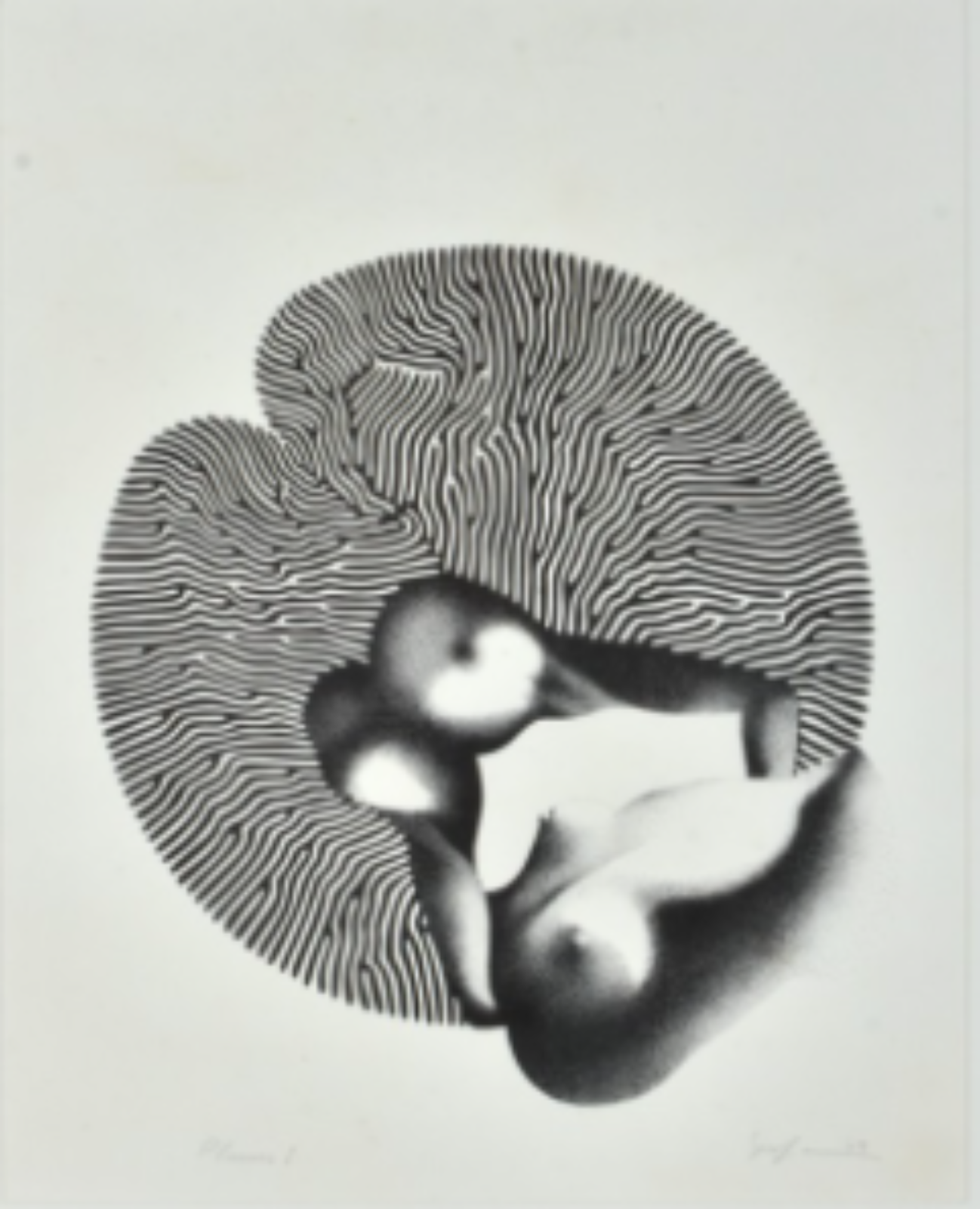 Ivan Serpa (1932-1973), Planus I, 1969 - foto 1 de 4
