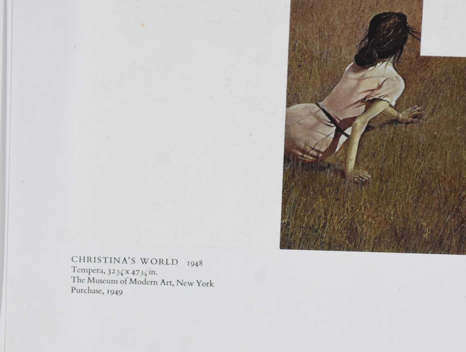 Sem assinatura, CRISTIANA´S WORLD - foto 3 de 6