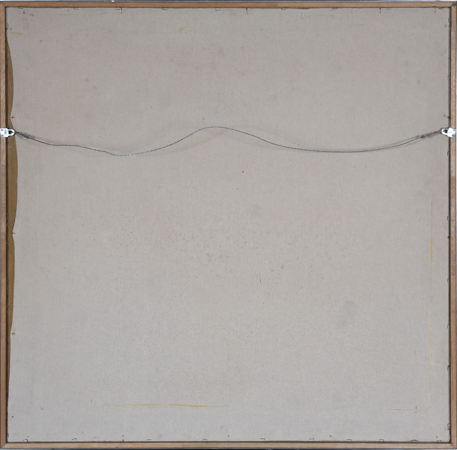 Nemer (1945), Vegetação - foto 4 de 4
