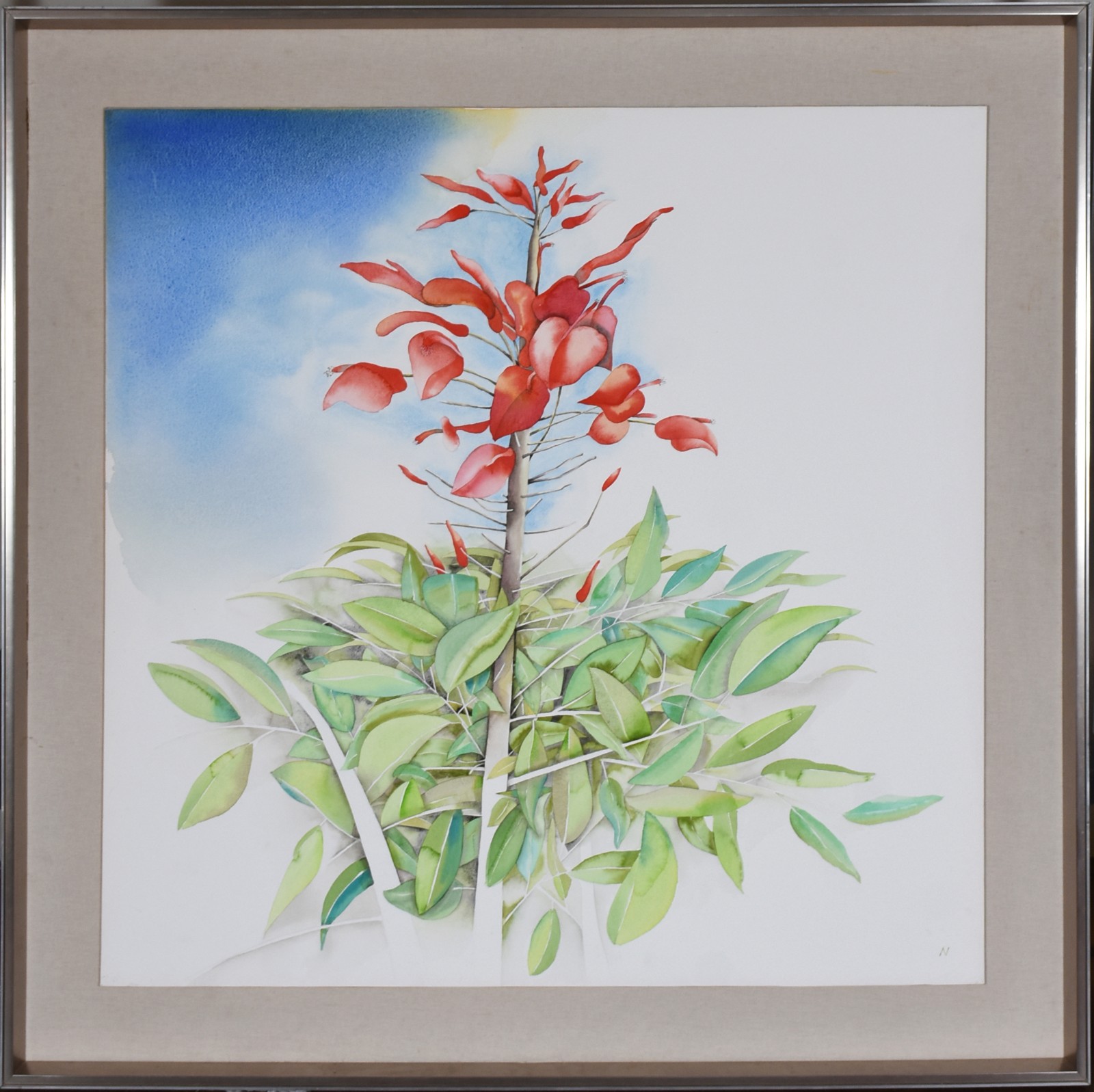 Nemer (1945), Vegetação - foto 2 de 4