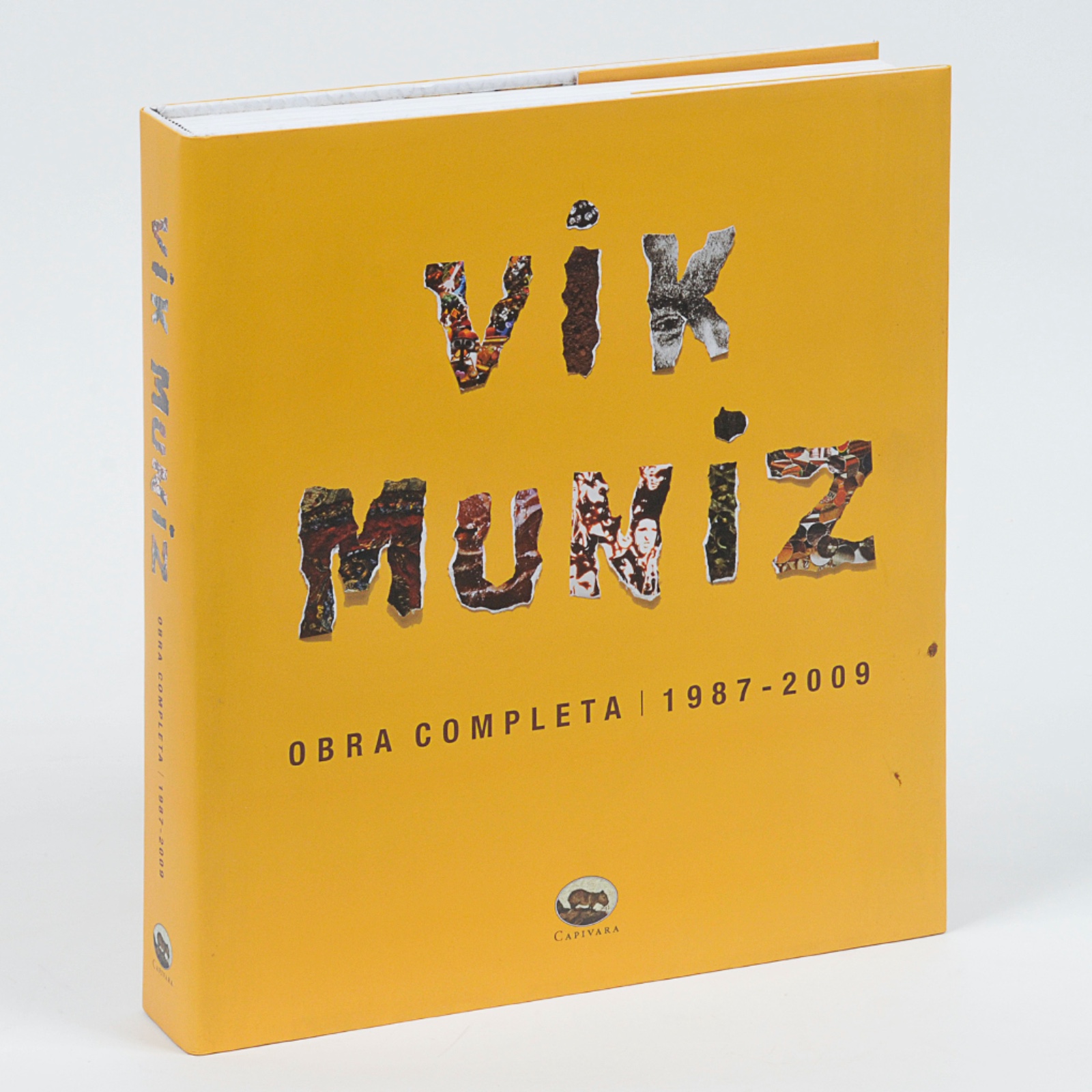  Vik Muniz (1961), Obra Completa - 1987 a 2009 - foto 1 de 5