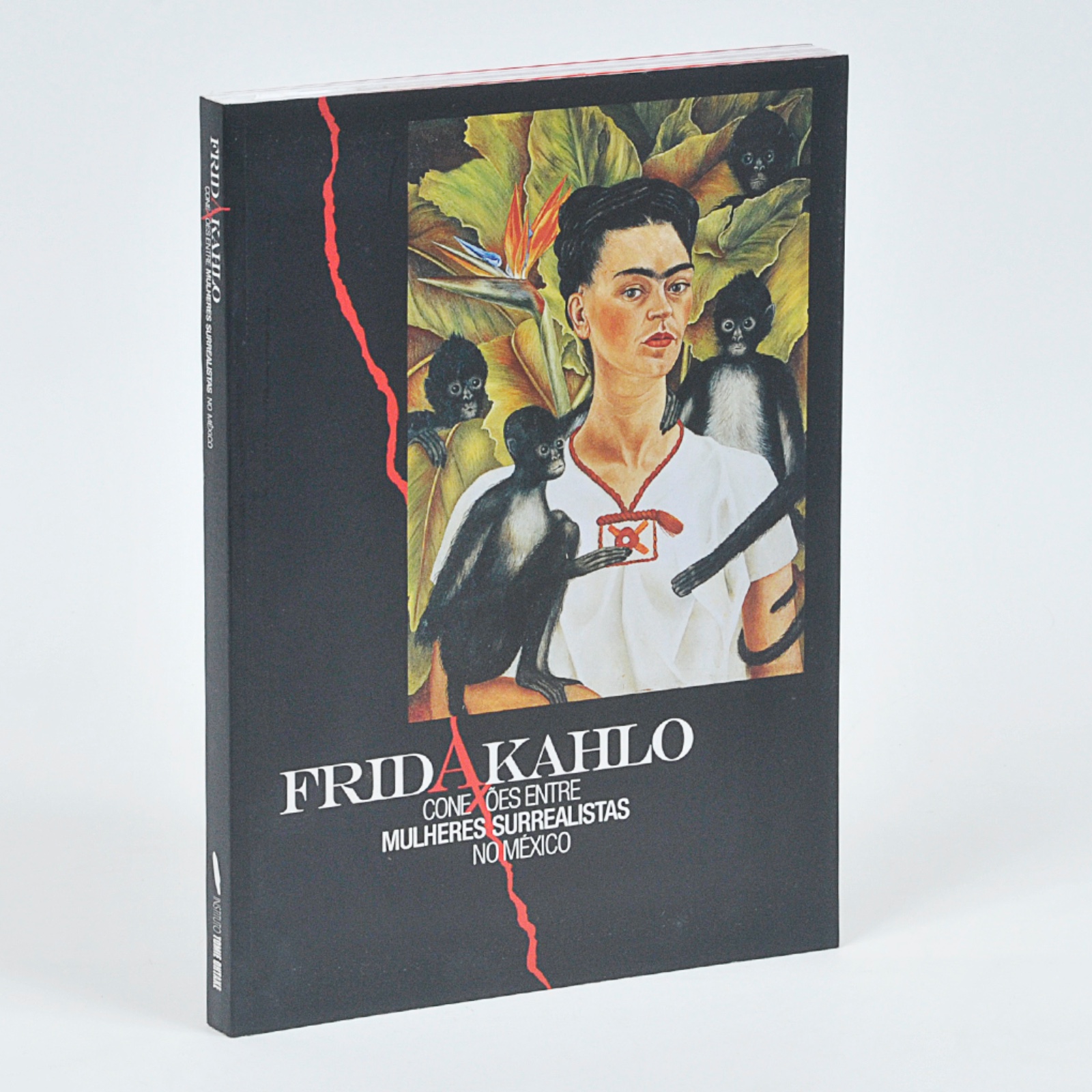 Frida Khalo - Conexões entre Mulheres  Surrealistas no México, 2015 - foto 1 de 4