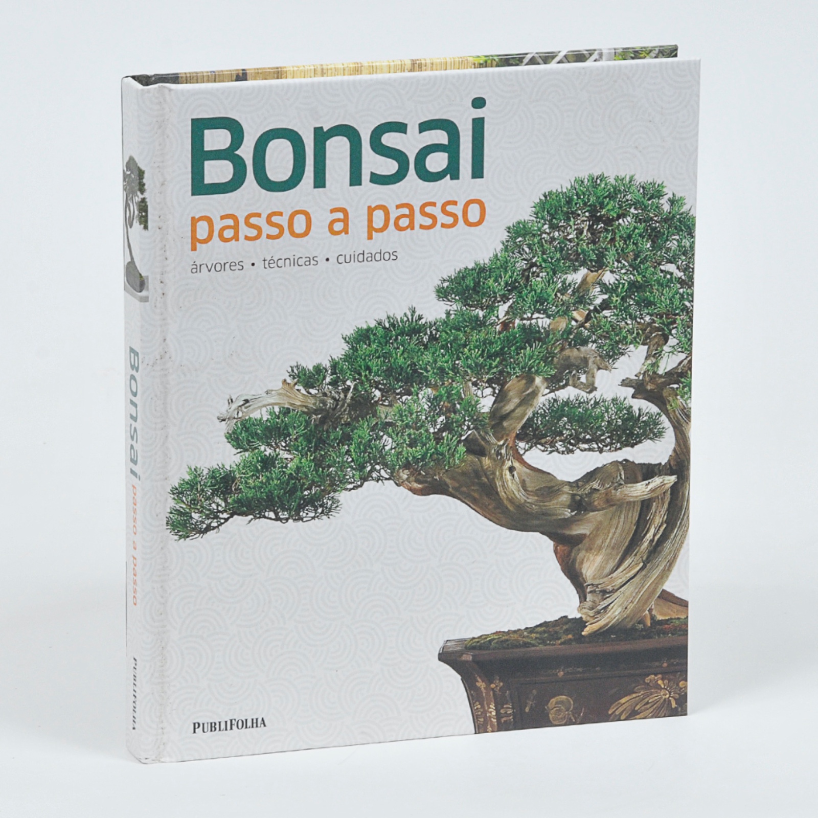 Bonsai - Passo a Passo - foto 1 de 4