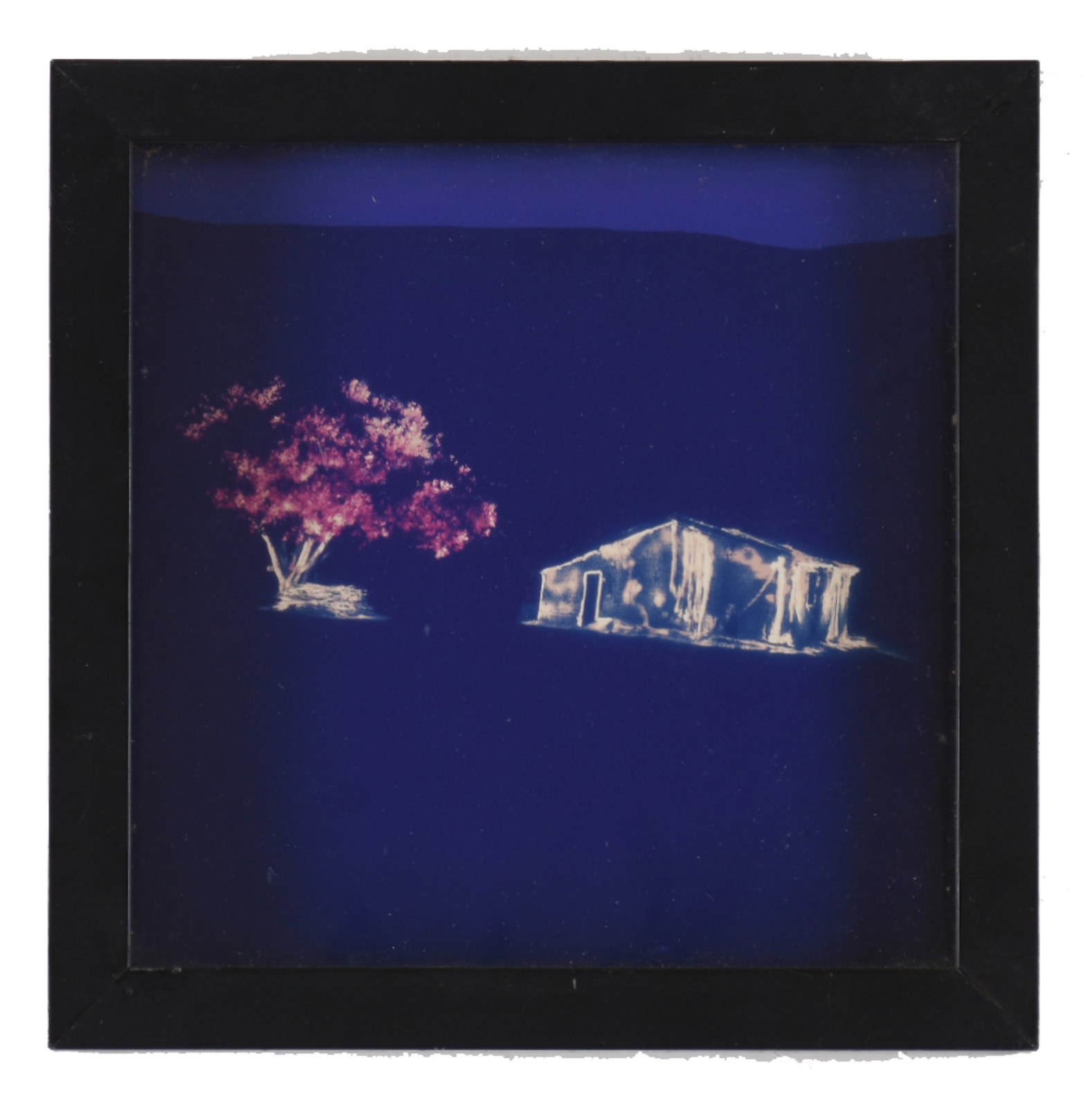 Renan Cepeda (1966), Casa e cajueiro -  série Pichações, 2004 - foto 3 de 3