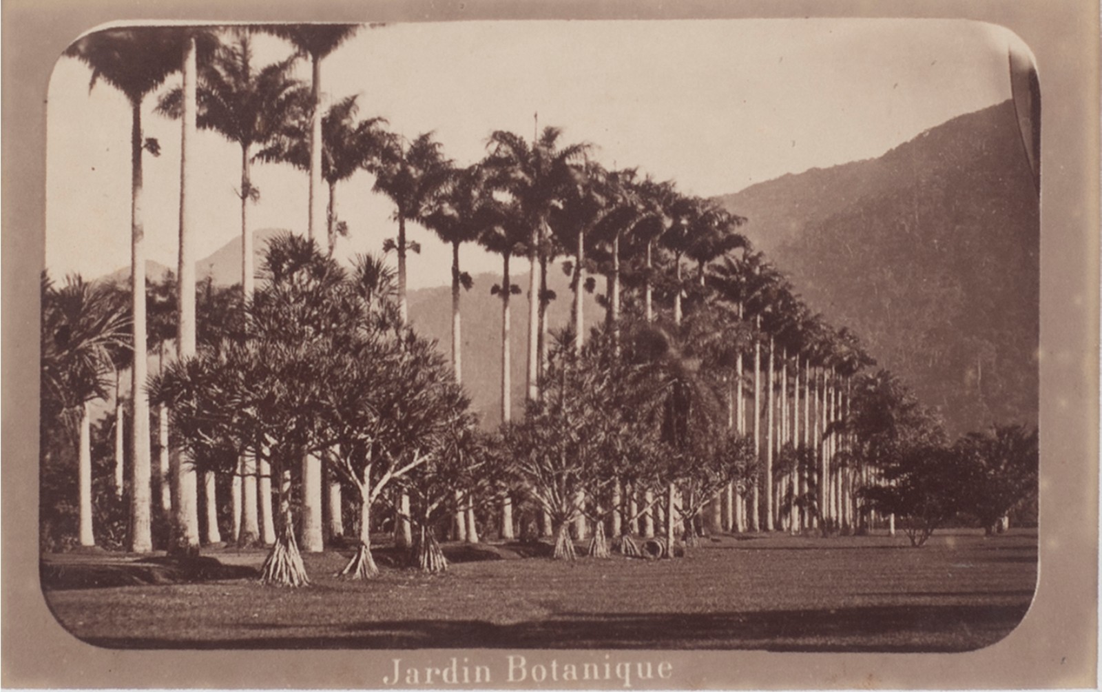 Jardin Botanique - Rio Antigo - foto 1 de 2