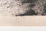 Fayga Ostrower (1920-2001), Sem título, 1980 - Serigrafia <br>Ass. inf. direito <br>Edição 26 de 50<br>Com dedicatória. 