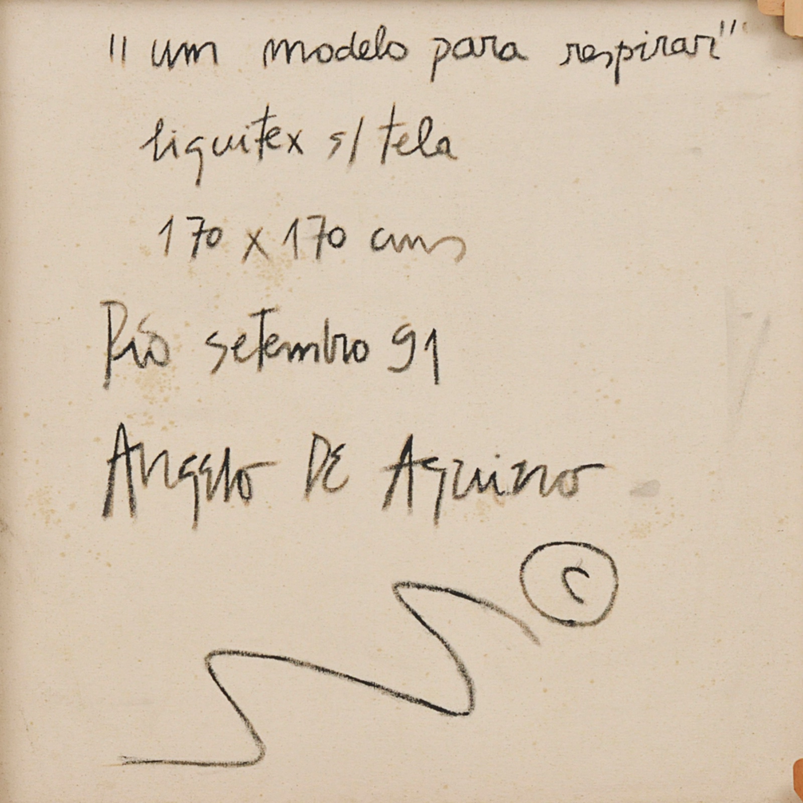 Angelo de Aquino (1945-2007), Um modelo para respirar - foto 6 de 6