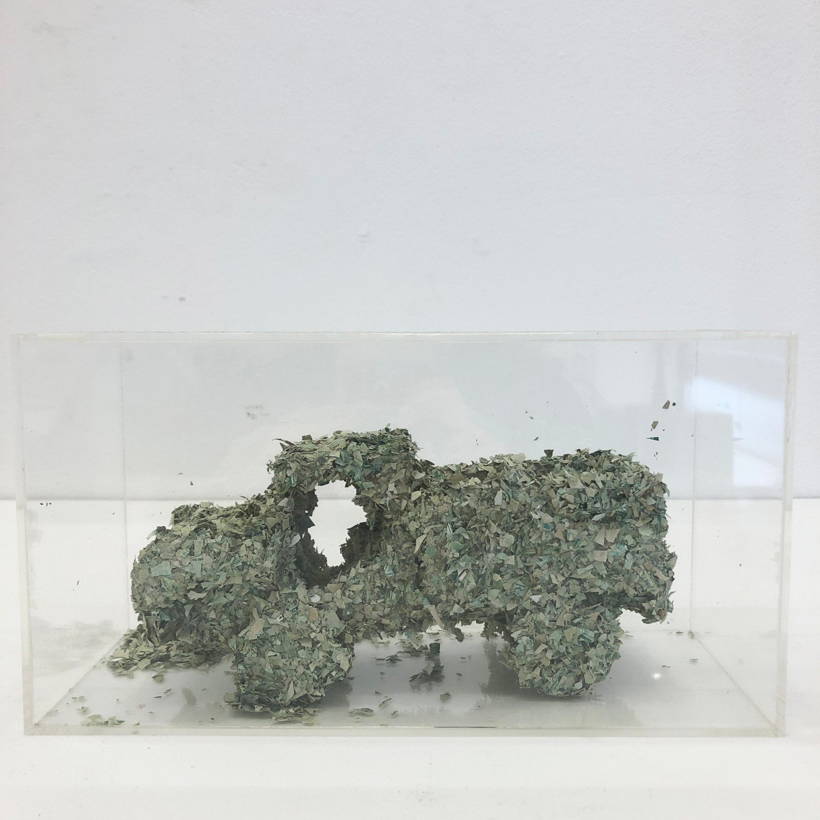 Felipe Barbosa (1978), CAMINHÃO - foto 3 de 4