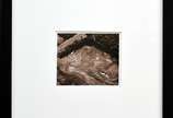 Vik Muniz (1961), "Carajás 4 - Mina de Ferro" -... - Fotografia em emulsão de prata <br>Assinada no verso <br>Obra reproduzida no Catálogo Raisonné Vol. 2 Pág.. 492	