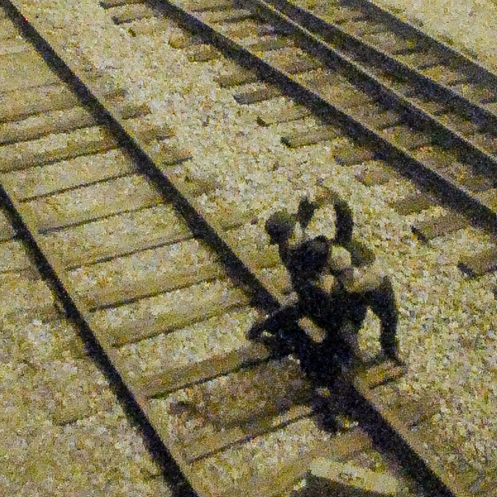  Vik Muniz (1961), Track Bowl, from Clayton Days Pictures - foto 2 de 5